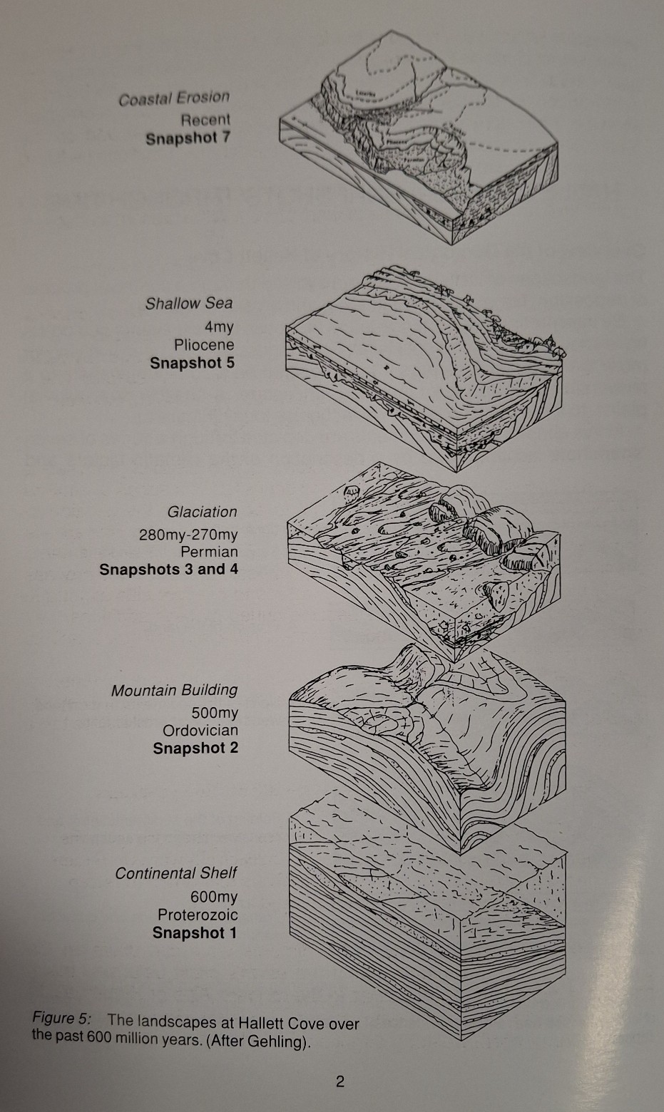 Book Page