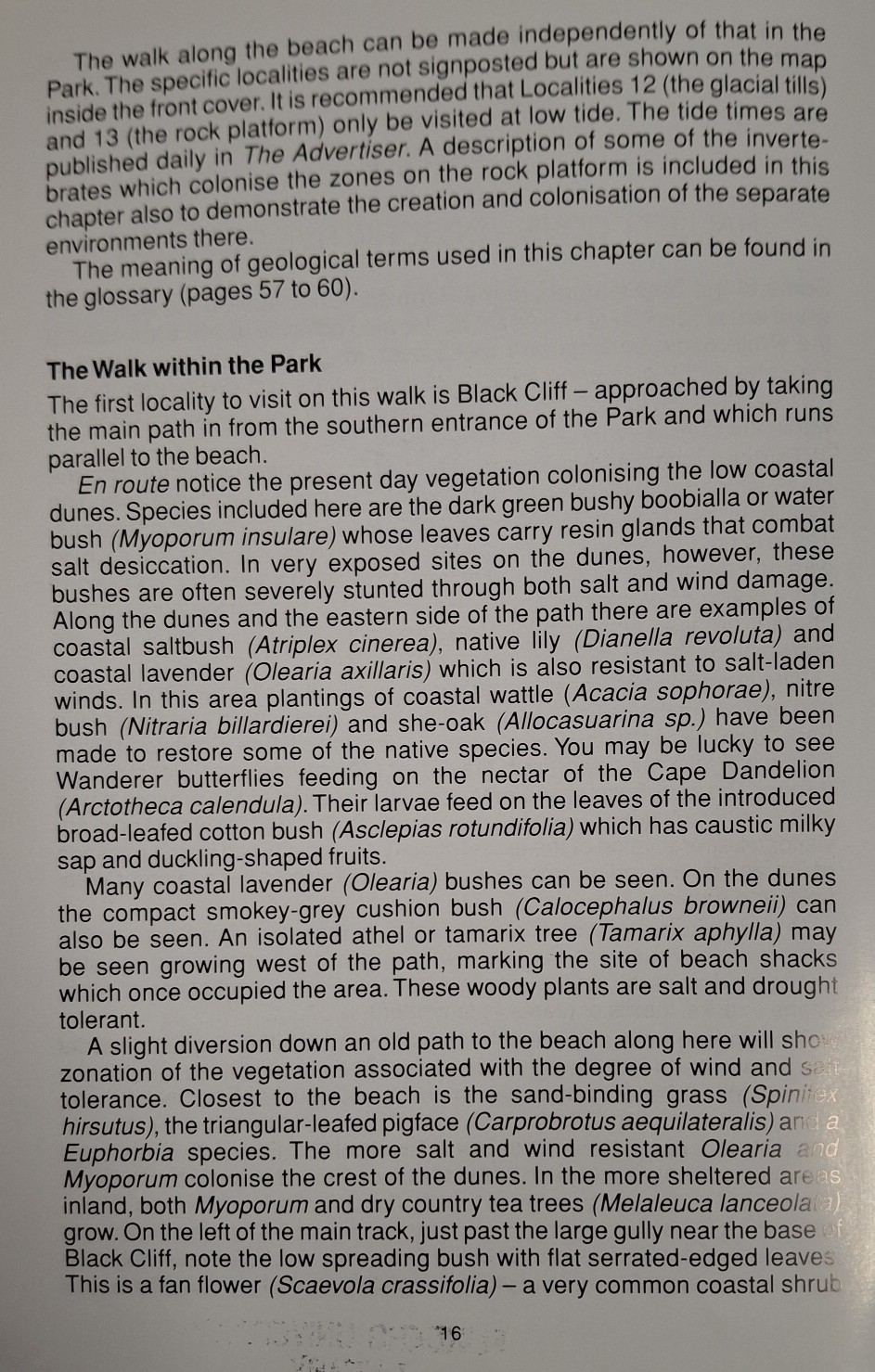 Book Page