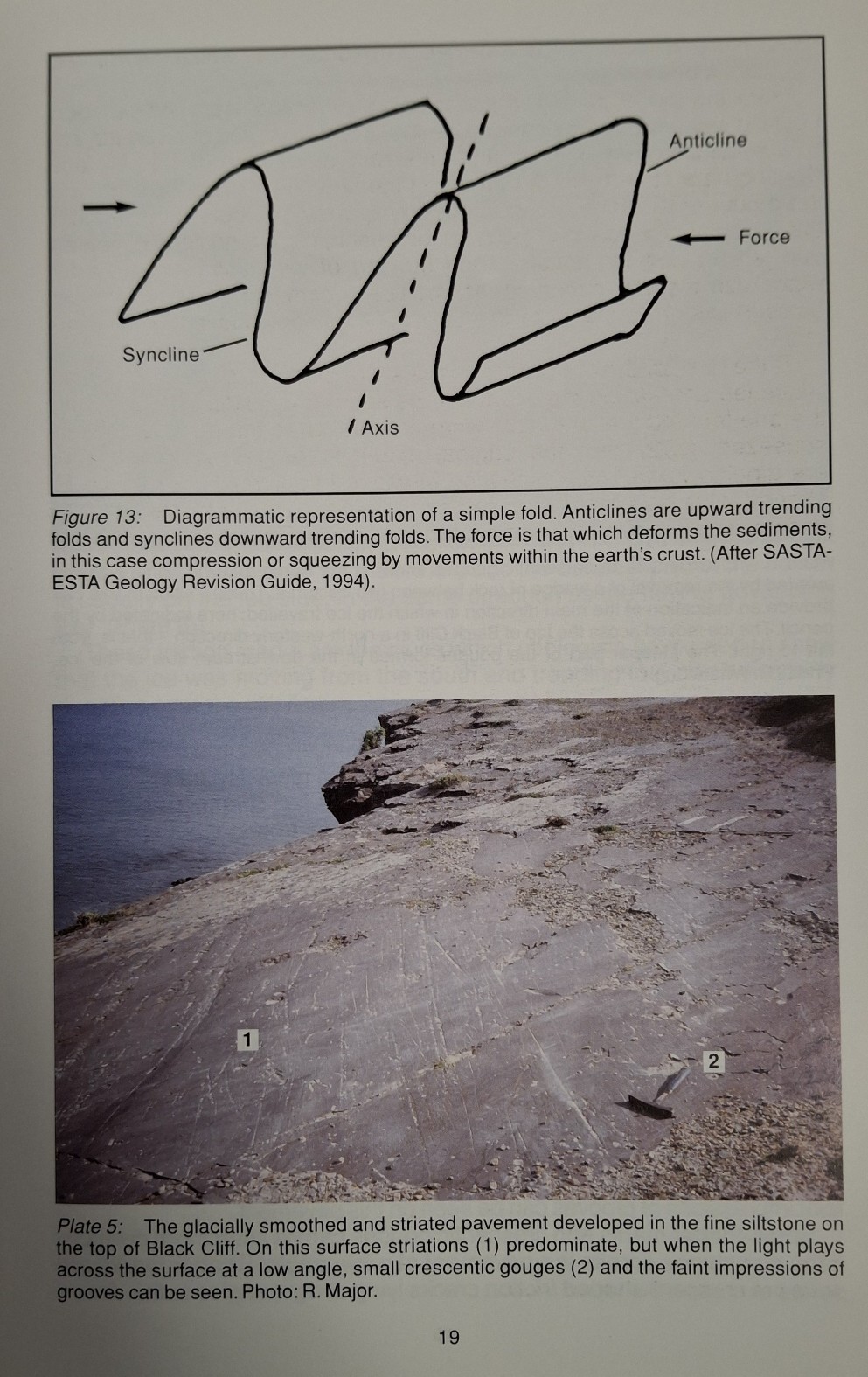 Book Page