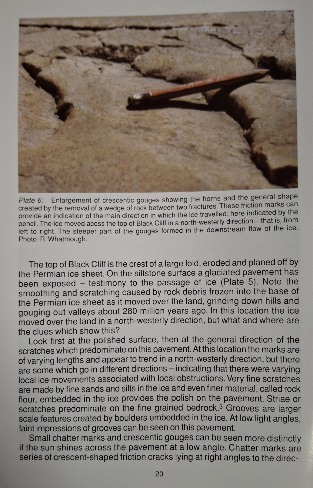Book Page