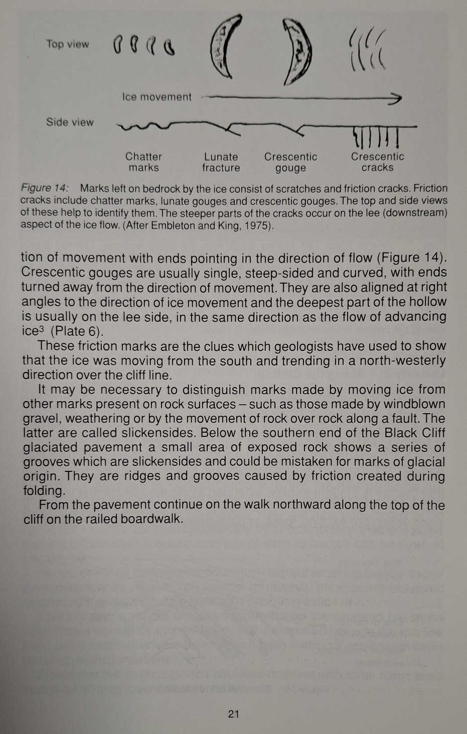 Book Page