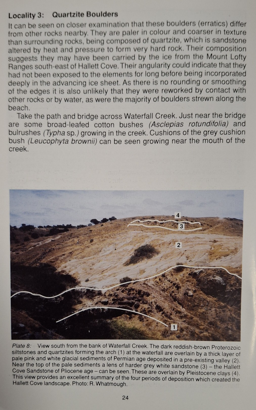 Book Page