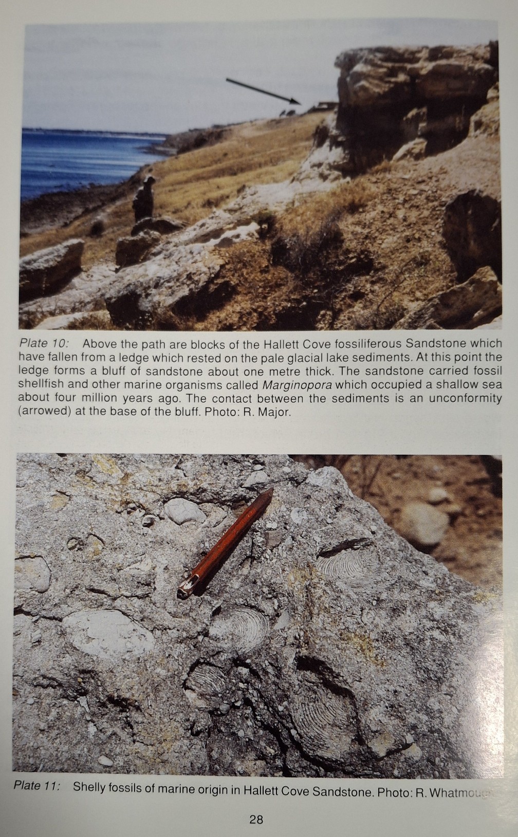 Book Page