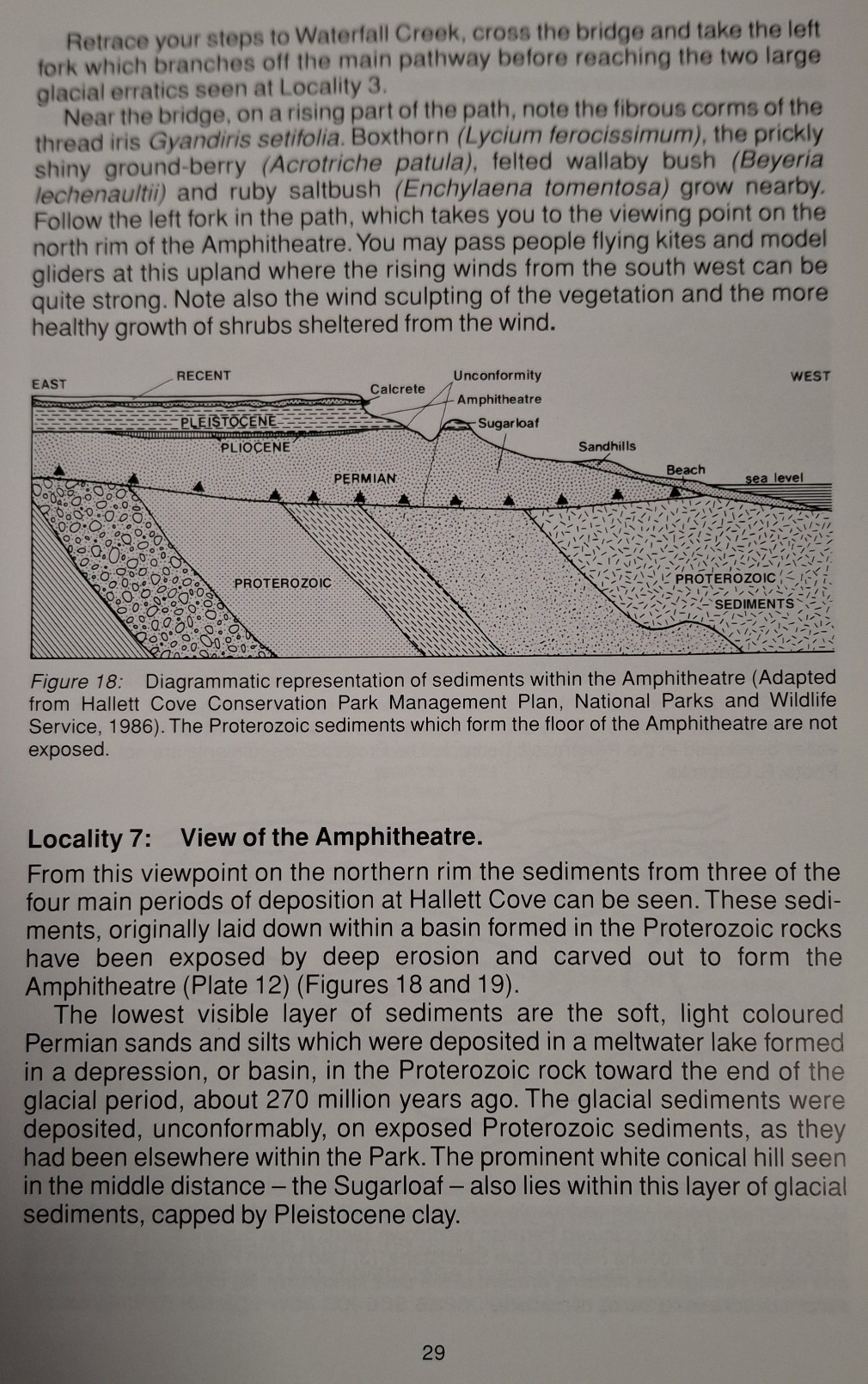 Book Page