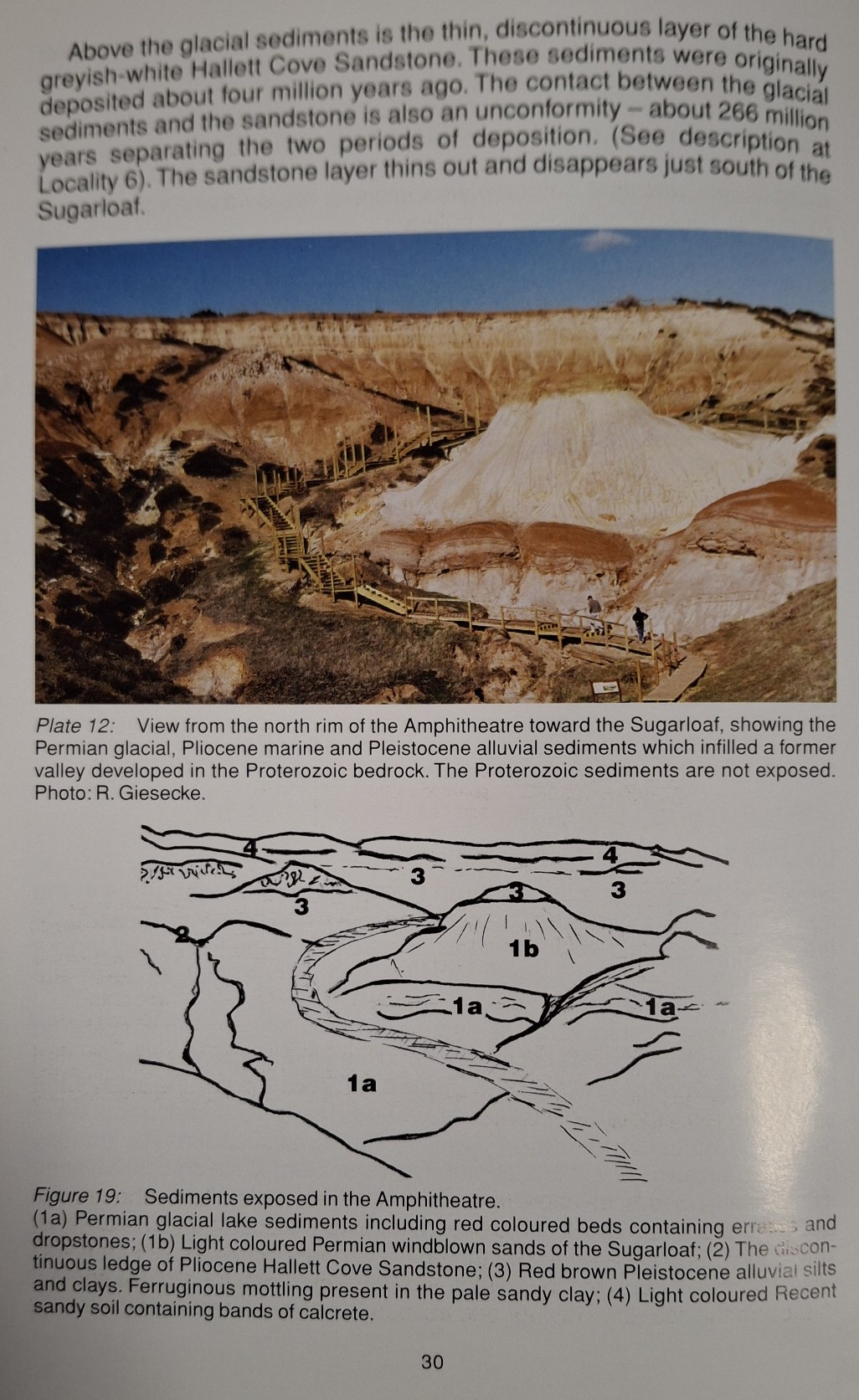 Book Page