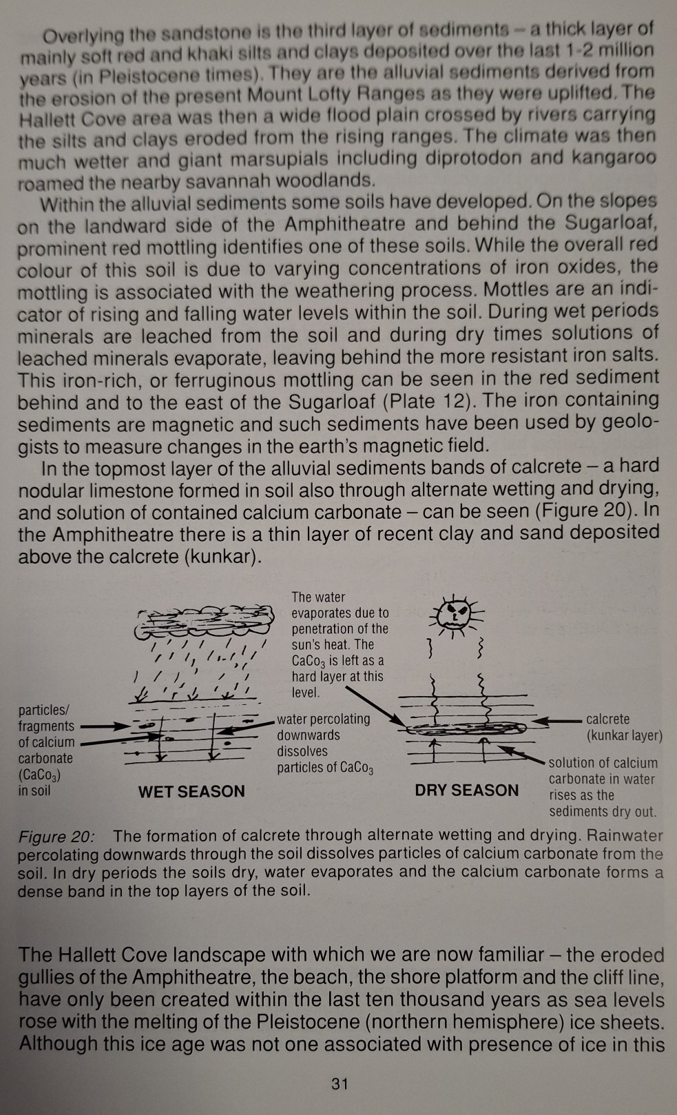 Book Page