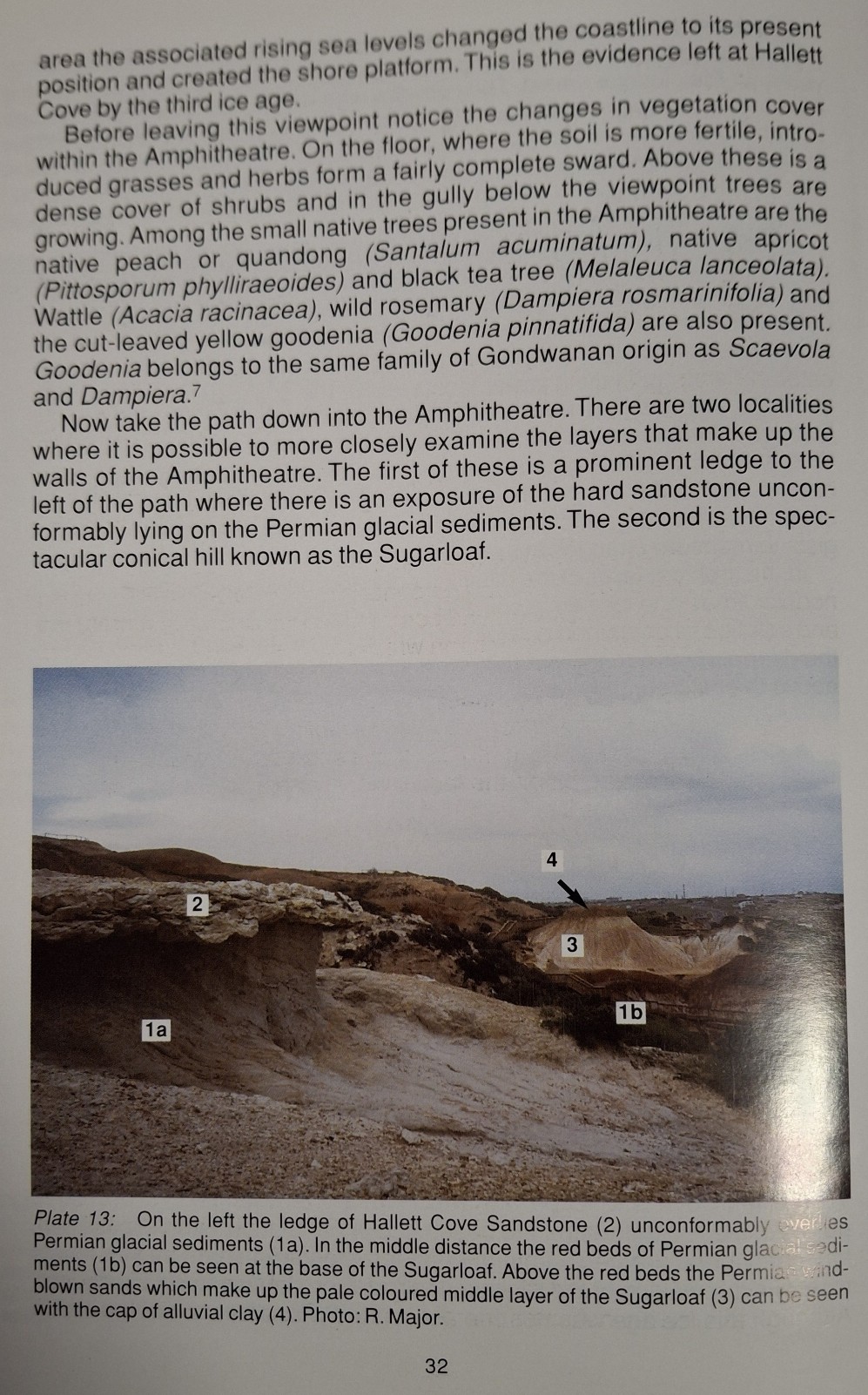 Book Page
