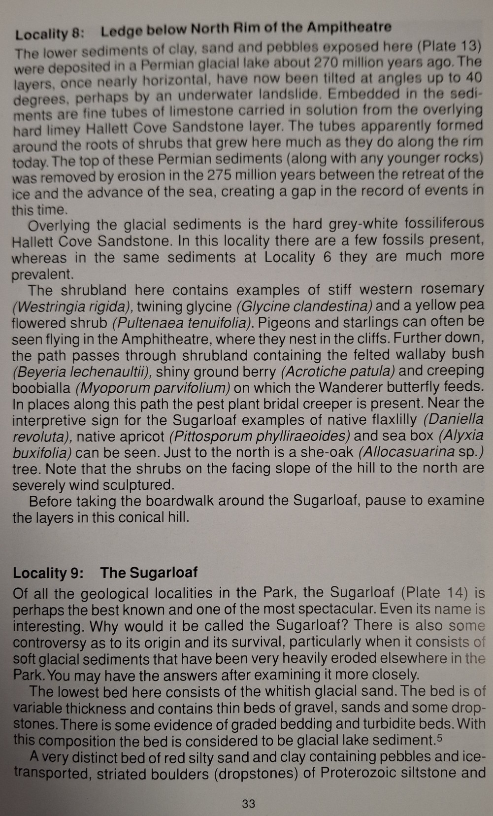 Book Page