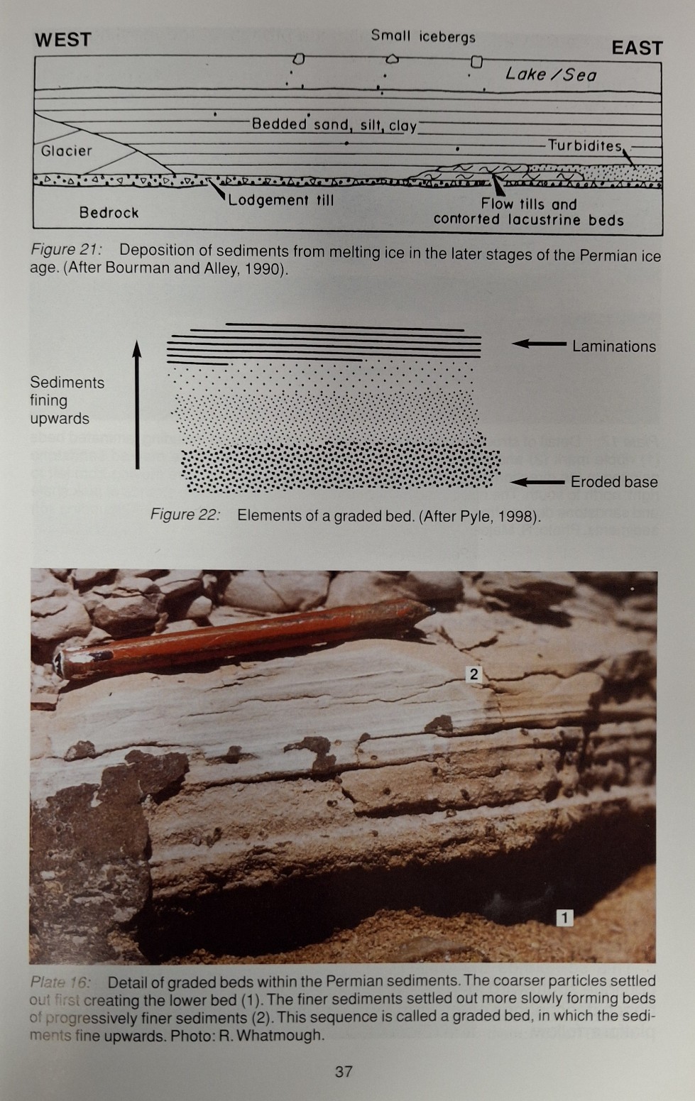 Book Page