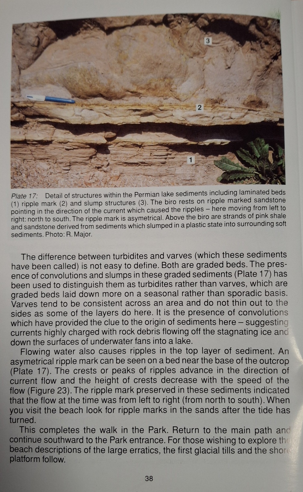 Book Page