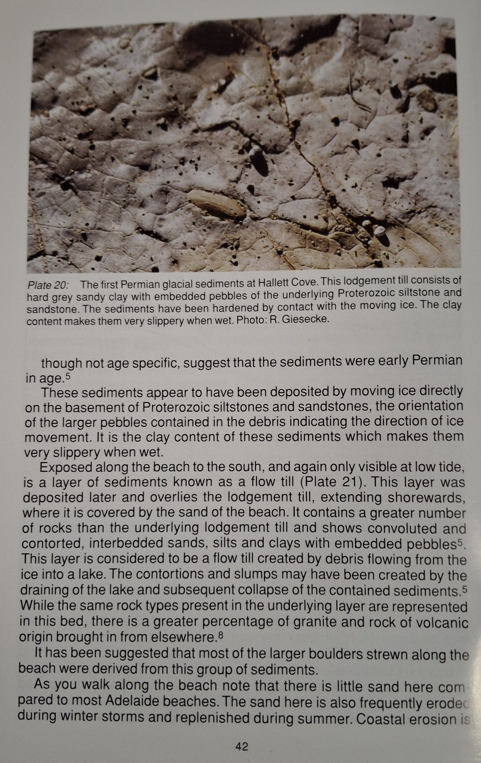 Book Page