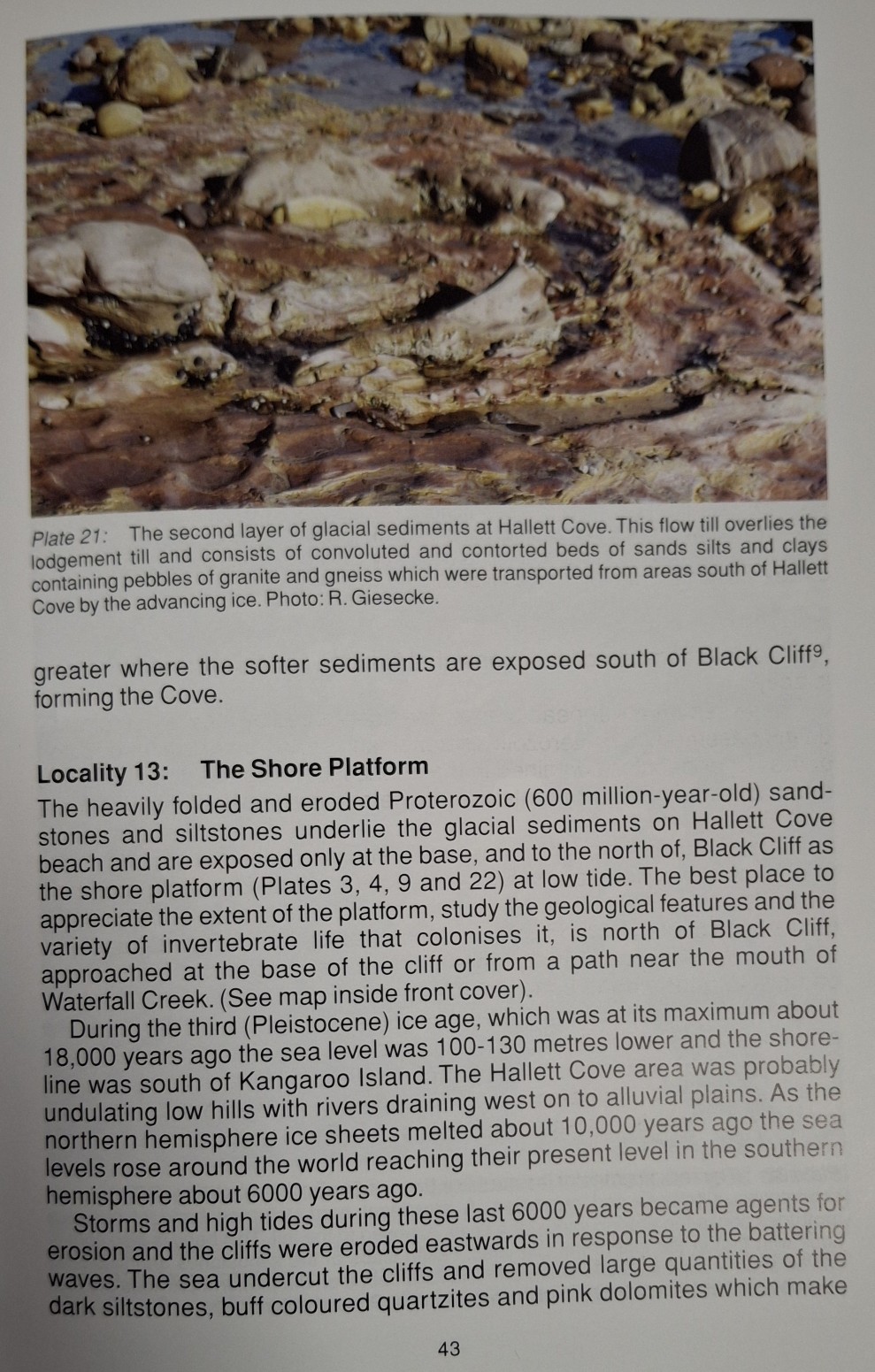 Book Page
