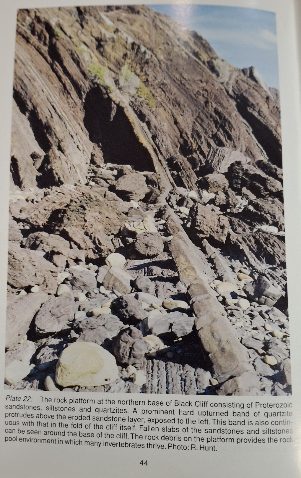 Book Page