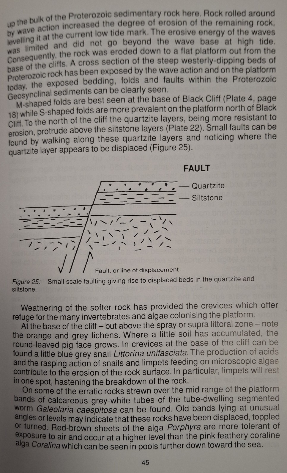 Book Page